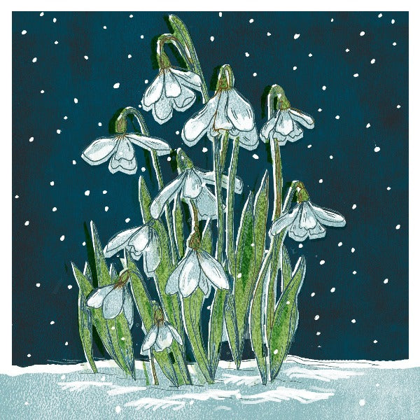Christmas Cards Pack of 10 - Evening Snowdrops