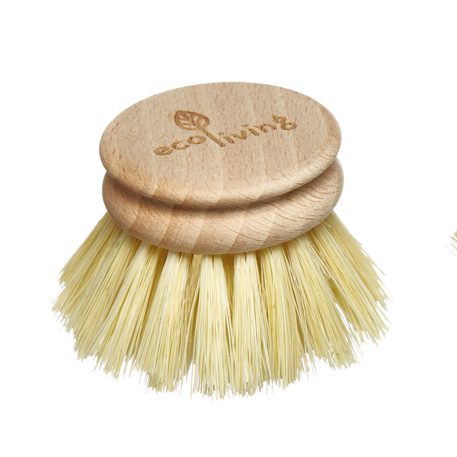 Replacement Head for Wooden Dish Brush