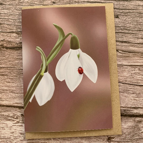 Pear Tree Crafts - Snowdrop & Ladybird Card