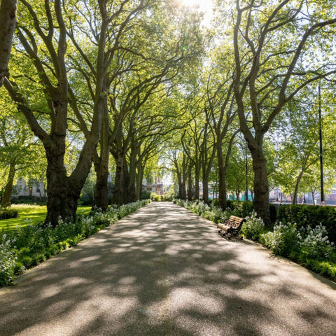 Inner & Middle Temple Gardens