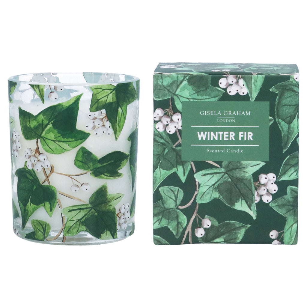 Winter Fir Boxed Candle (Ivy Design)