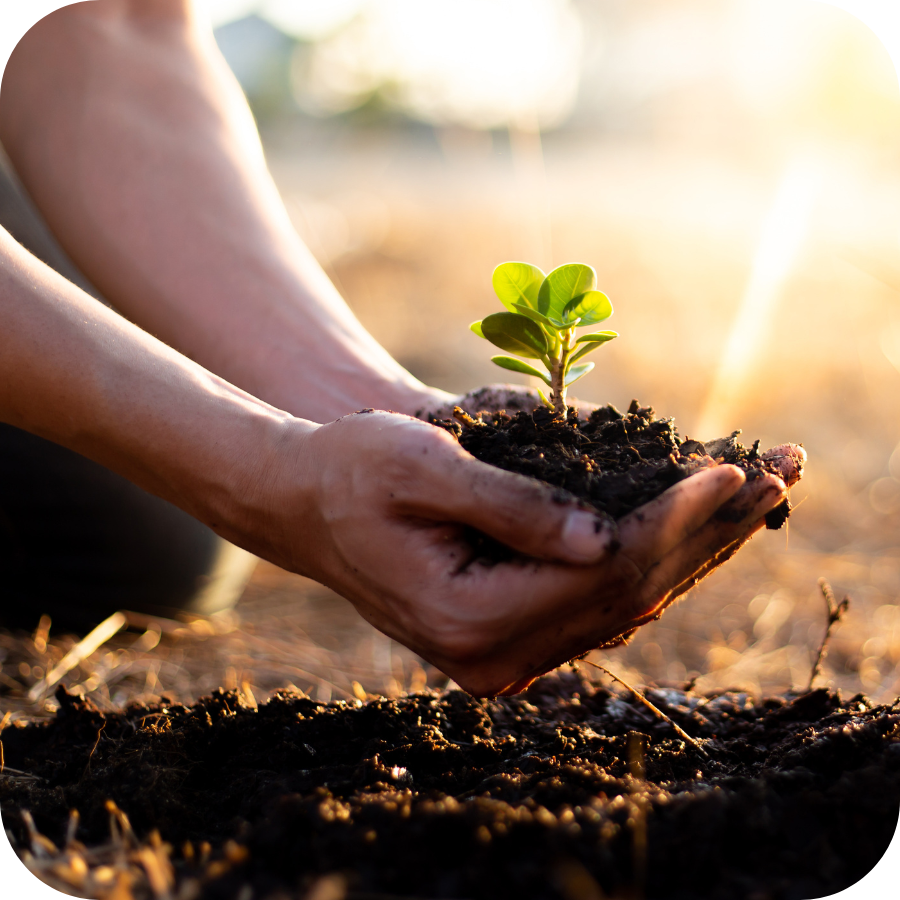 Mental Health Support