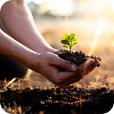 Mental Health Support