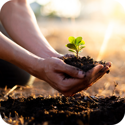 Mental Health Support