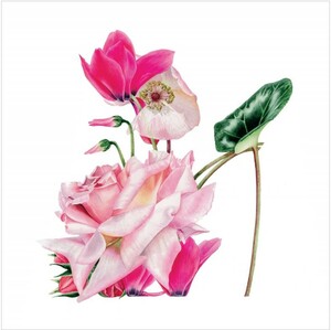 The Eco-Friendly Card Co - Pink Rose Slipper