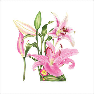The Eco-Friendly Card Co - Pink Lily Shoe