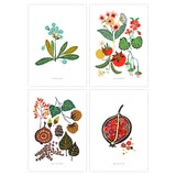 Brie Harrison Postcard Pack - Seasons