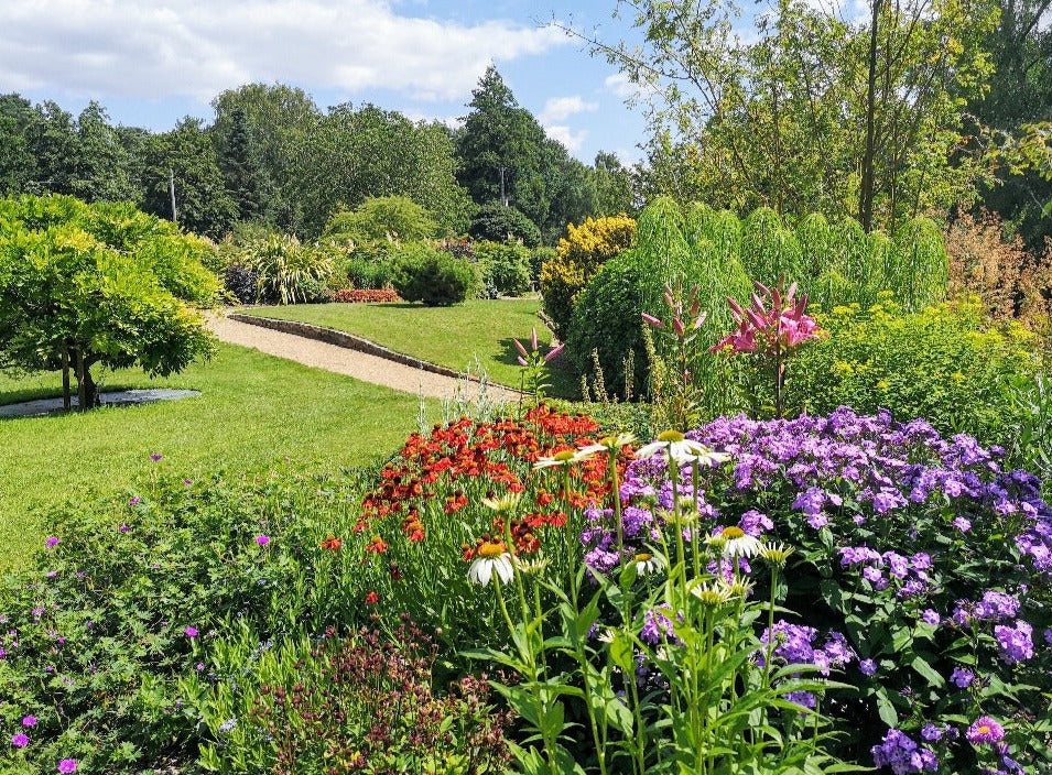 Perennial Greeting Card - The Low Garden