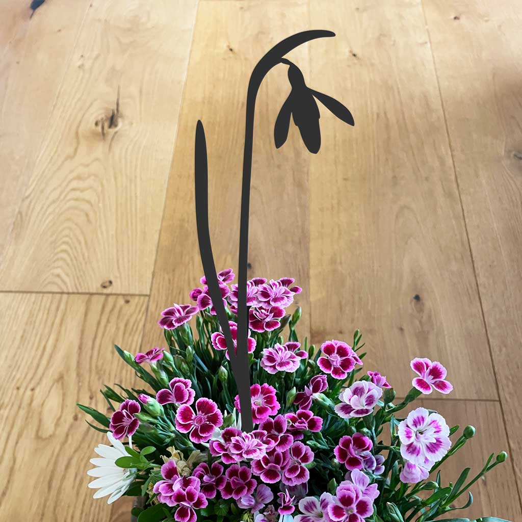 A Blackbird Sang - Snowdrop Flower Stem