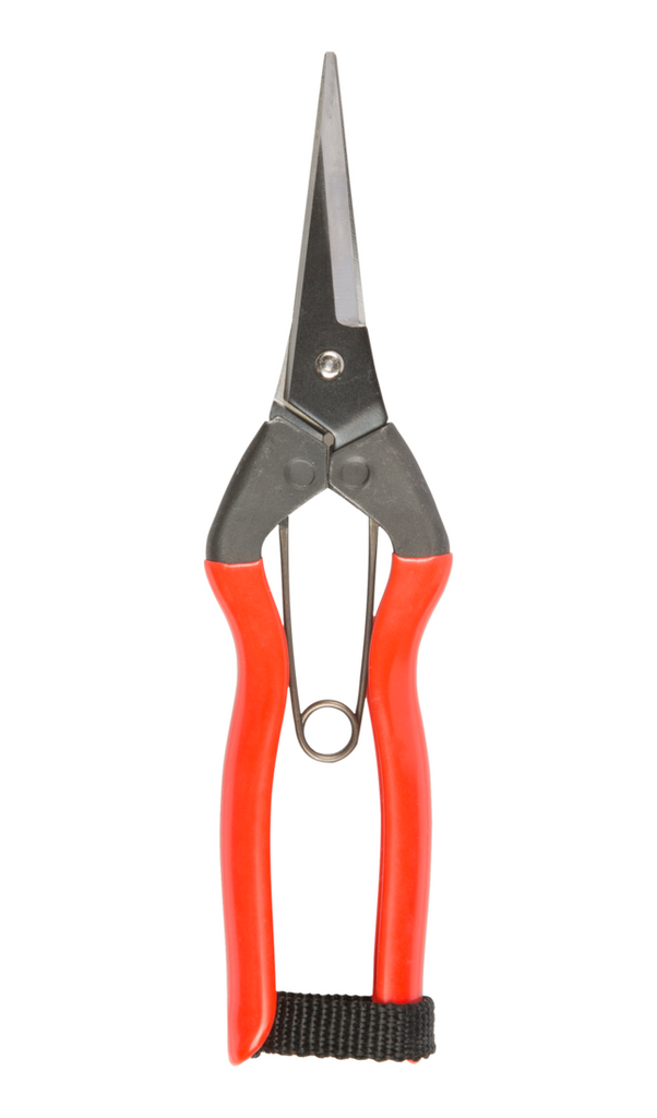 Niwaki - Garden Snips