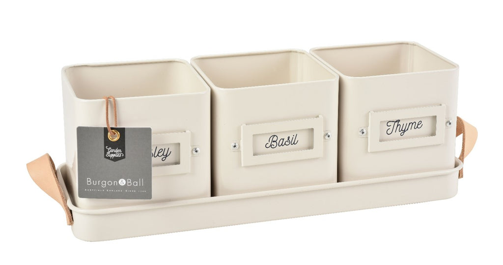 Burgon & Ball Indoor Pot - Cream Herb Set