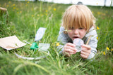 The Den Kit Co - The Entomology Kit