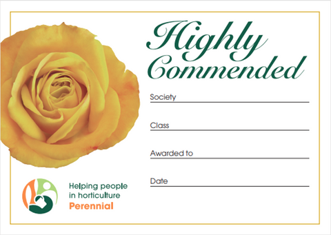 Highly Commended Show Award Cards, bundle of 50