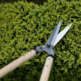 Niwaki - Garden Shears