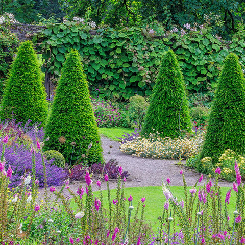 Aberglasney Gardens