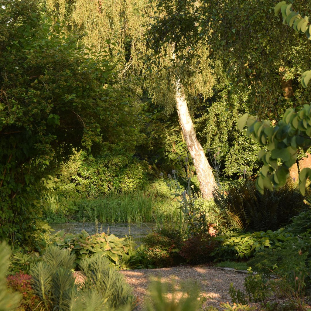 August Exclusive Evening Access @ Fullers Mill