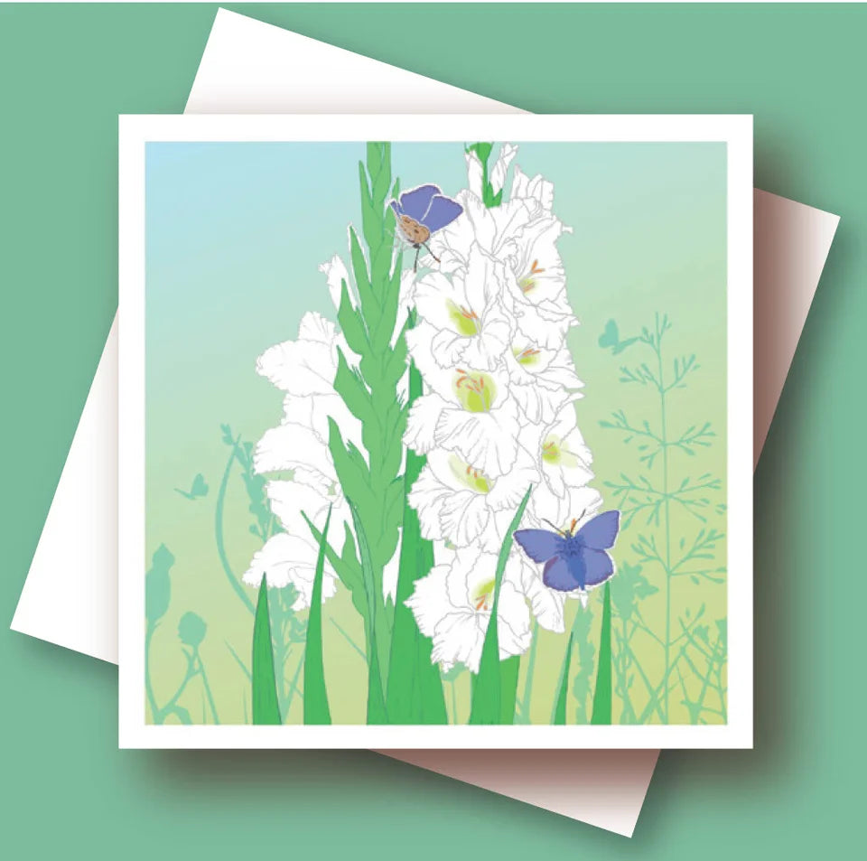 Umbellifer Greeting Card - Gladioli and Butterflies