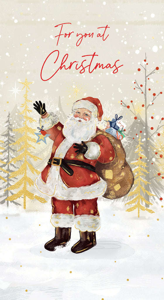 Christmas Money Wallet - Father Christmas