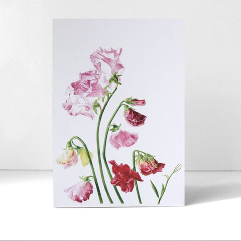 Marianne Hazlewood Card - Sweet Peas for Margaret