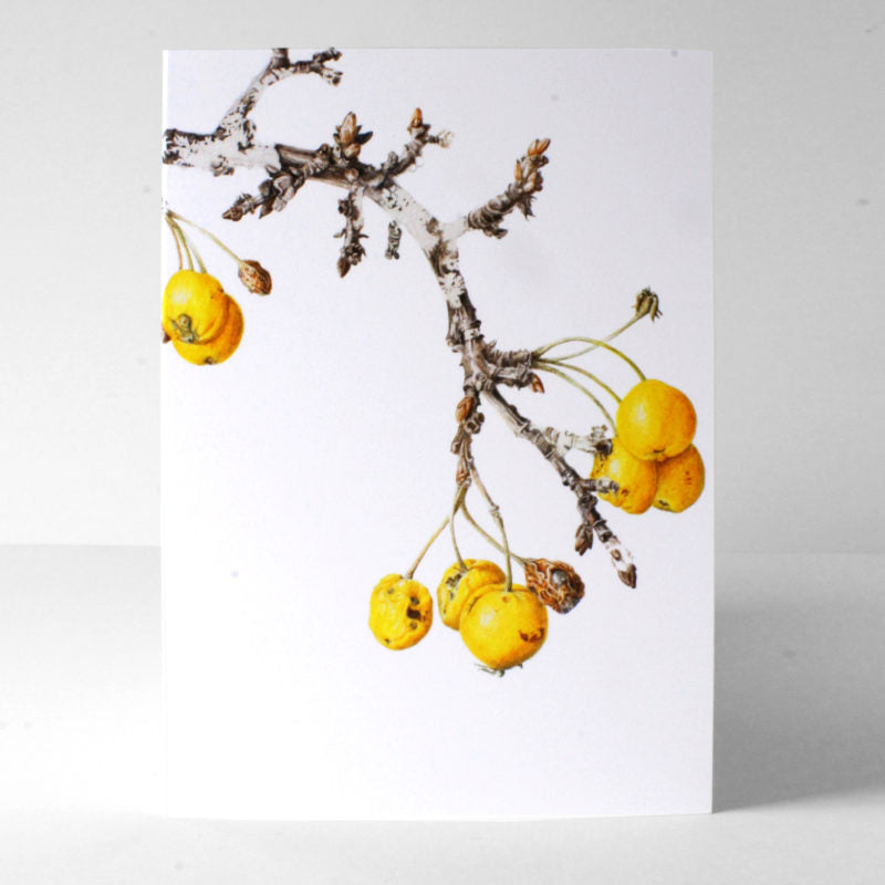 Marianne Hazlewood Card - Golden Hornet Crab Apple