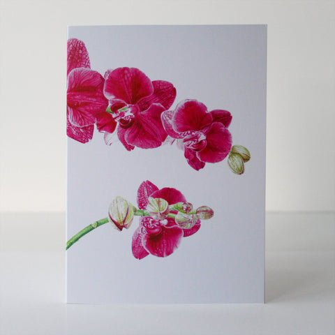 Marianne Hazlewood Card - Phalaenopsis