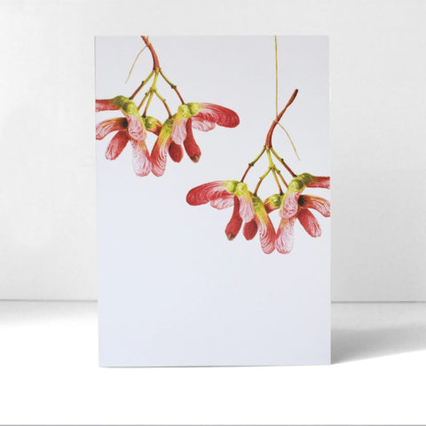 Marianne Hazlewood Card - Acer Osakazuki