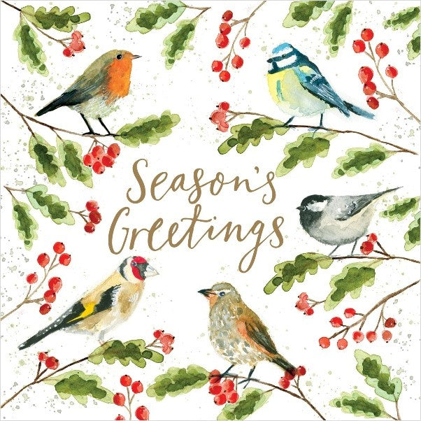 Christmas Cards Pack of 10 - Season's Tweetings