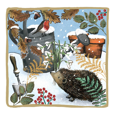 Christmas Cards Pack of 10 - Hedgehog and Watering Can