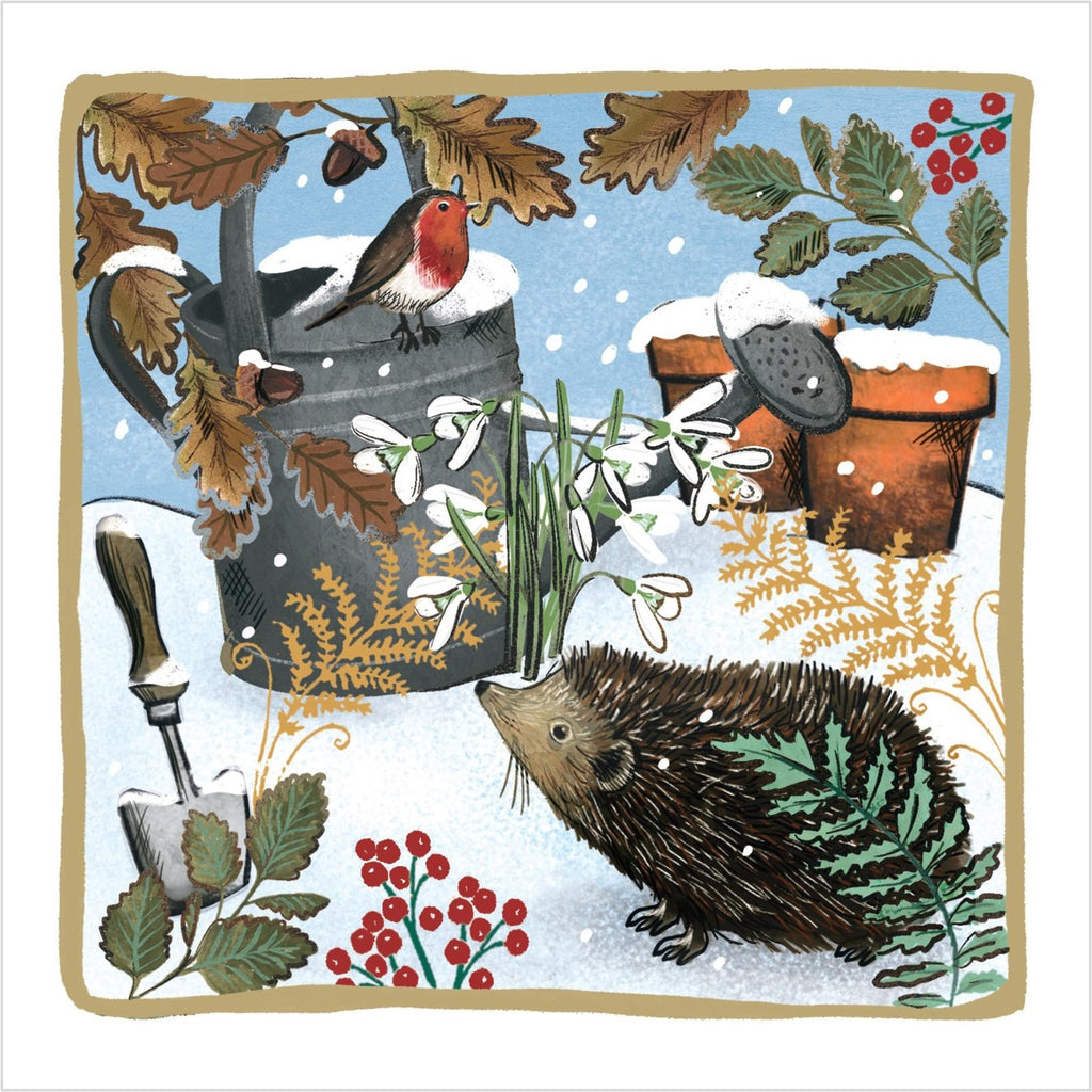 Christmas Cards Pack of 10 - Hedgehog and Watering Can