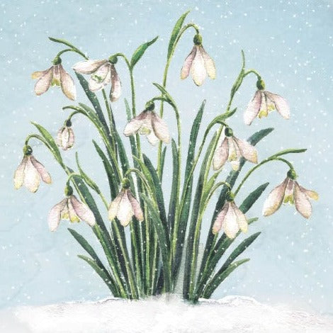 Christmas Cards Pack of 10 - Snowdrop Serenity