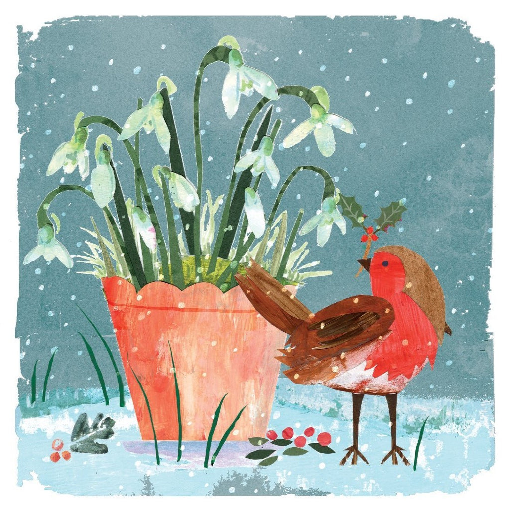 Christmas Cards Pack of 10 - Robin and Snowdrops