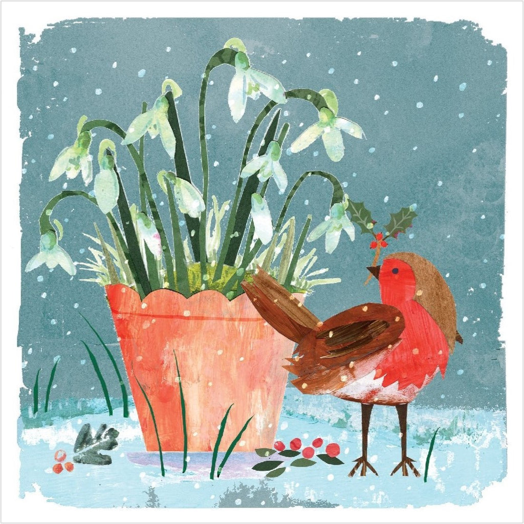 Christmas Cards Pack of 10 - Robin and Snowdrops