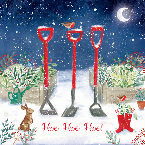 Christmas Cards Pack of 10 - Hoe Hoe Hoe