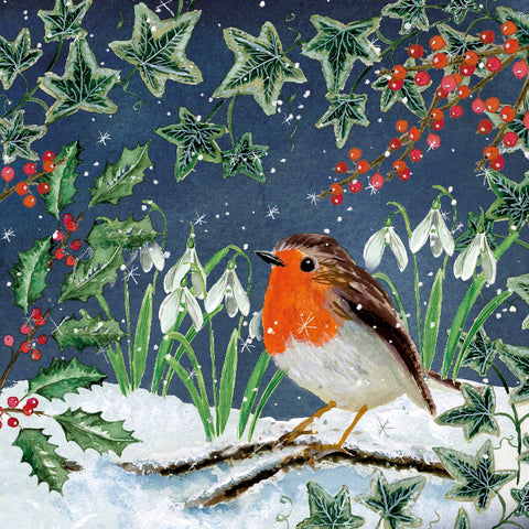 Christmas Cards Pack of 10 - Robin, Snowdrops and Holly
