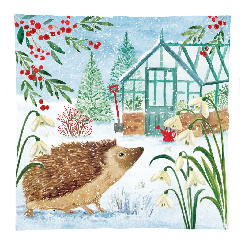 Christmas Cards Pack of 10 - Garden Hedgehog