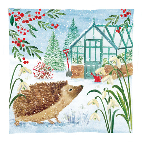 Christmas Cards Pack of 10 - Garden Hedgehog