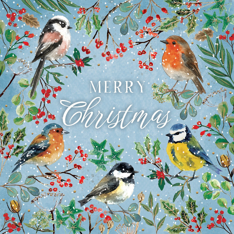 Christmas Cards Pack of 10 - Birds and Berries