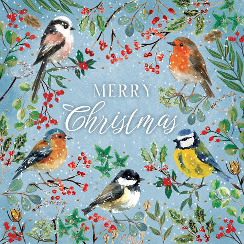 Christmas Cards Pack of 10 - Birds and Berries