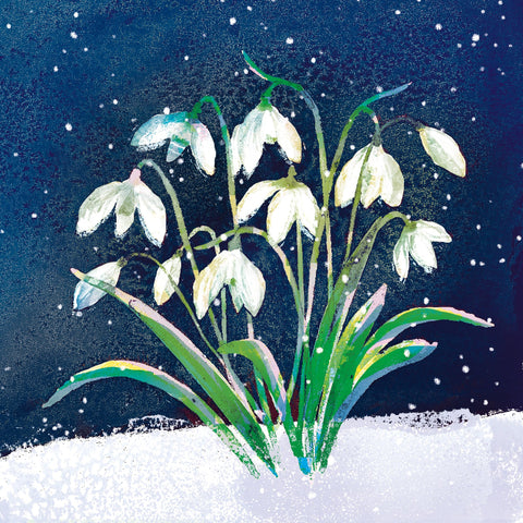 Christmas Cards Pack of 10 - Snowdrop Wishes