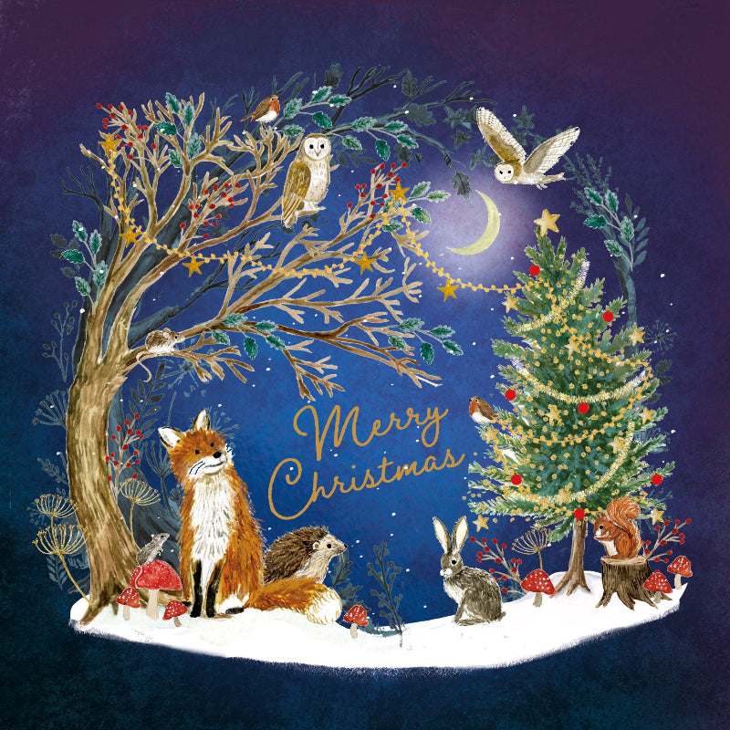 Christmas Cards Pack of 10 - Woodland at Night