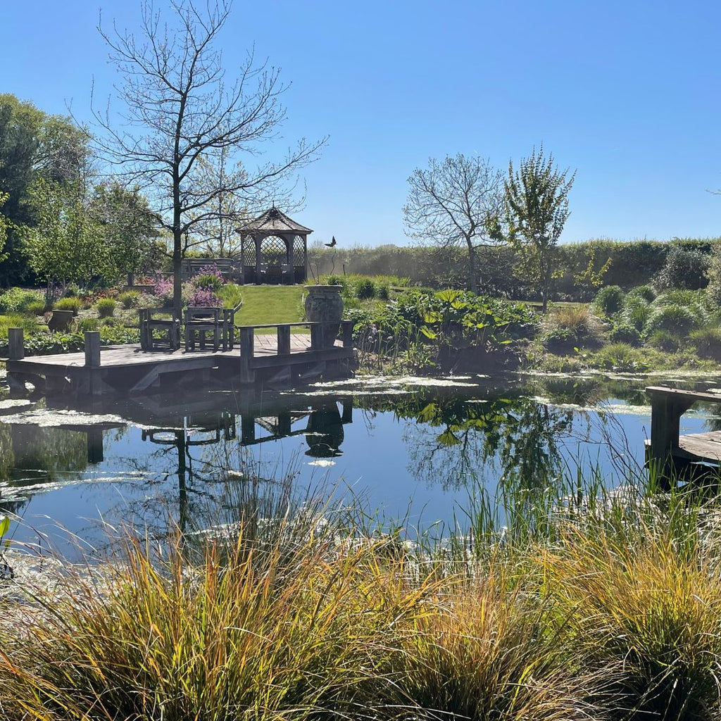 Cedar House Gardens