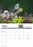 Garden Birds Calendar 2026