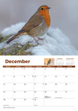Garden Birds Calendar 2026