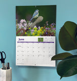 Garden Birds Calendar 2026