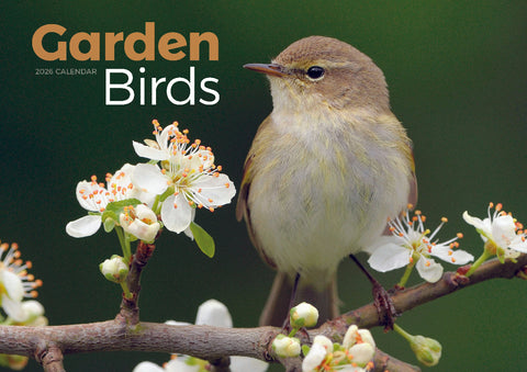 Garden Birds Calendar 2026
