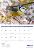 Garden Birds Calendar 2027