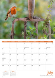 Garden Birds Calendar 2027