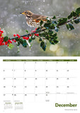 Garden Birds Calendar 2027