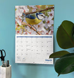 Garden Birds Calendar 2027