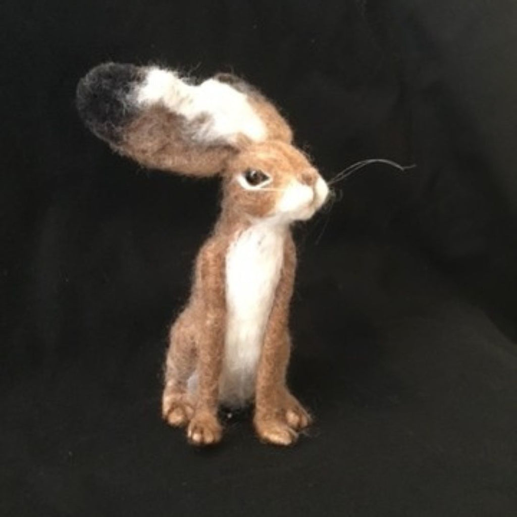 Fluffology Workshop